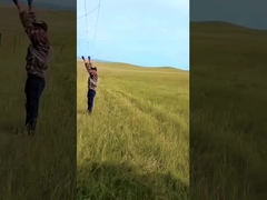 Panel Pagar Sapi Hot Dip Galvanized 8 ft Tinggi Fixed Knot Rusa Wire Mesh Pagar