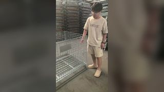 Kandang Penyimpanan Wire Mesh Lipat Tugas Berat untuk Gudang