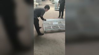 Kandang Penyimpanan Wire Mesh Lipat Tugas Berat untuk Gudang