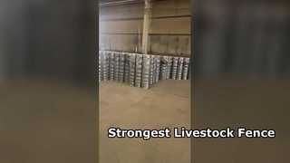 Pagar Ternak Yang Kuat Untuk Kuda Ternak