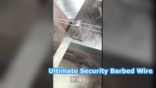 Pagar Keamanan Kawat Berduri Galvanis 25kg