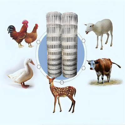 2.0MM Kekuatan tarik tinggi Galvanized Wire Farm Cattle Fence Untuk Sayur-sayuran Taman Pengolahan permukaan jaring