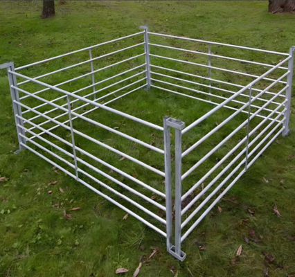 10 kaki Galvanized Pipe Portable Ternak Peternakan Pagar Panel